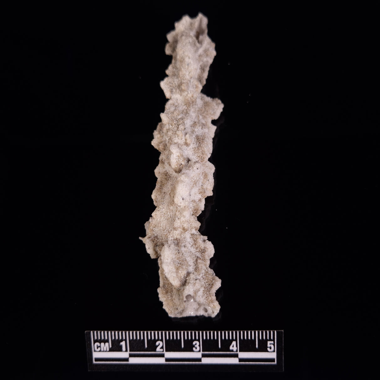 FULGURITE LIGHTNING GLASS, Queensland, Australia XFA008