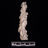 FULGURITE LIGHTNING GLASS, Queensland, Australia XFA008