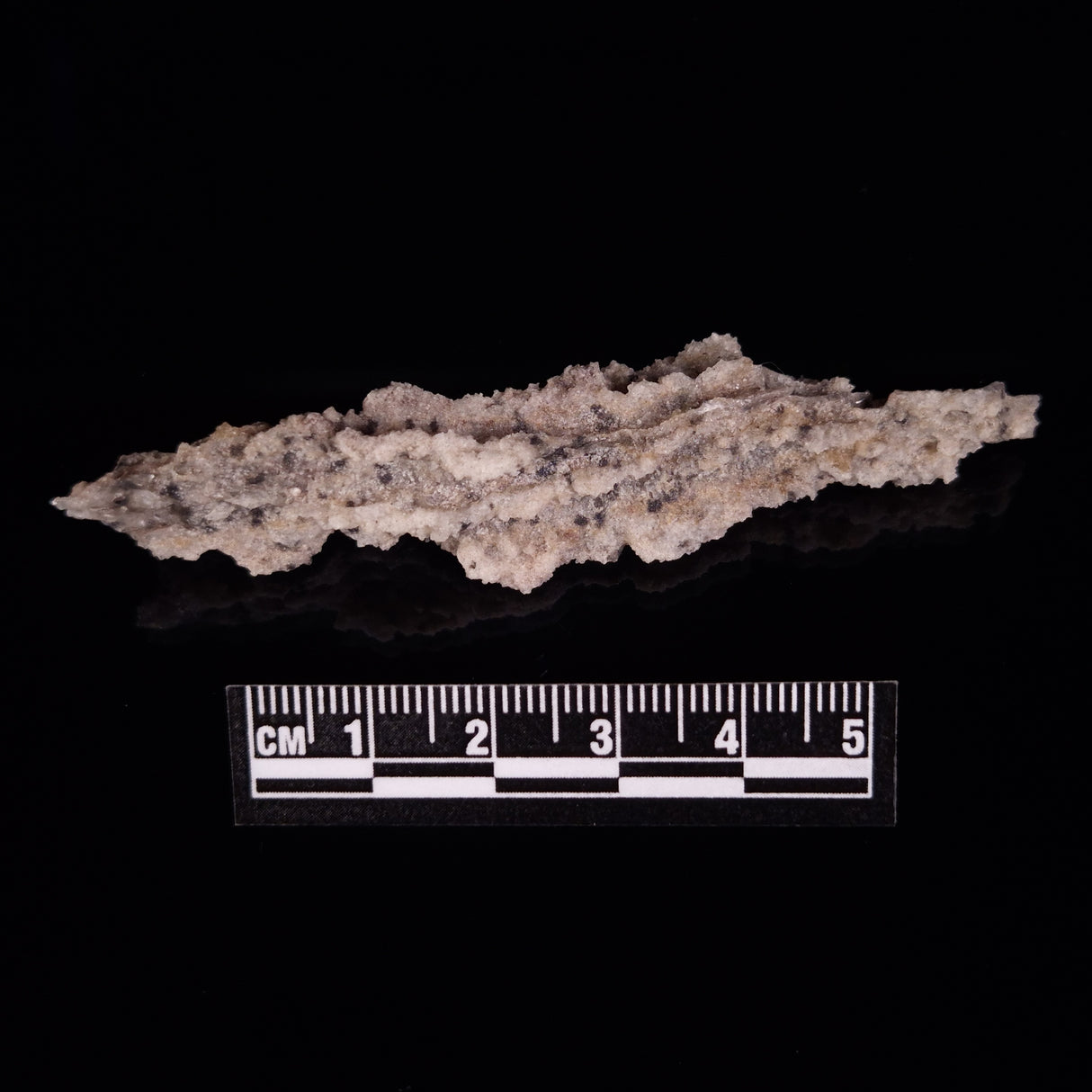 FULGURITE LIGHTNING GLASS, Queensland, Australia XFA009