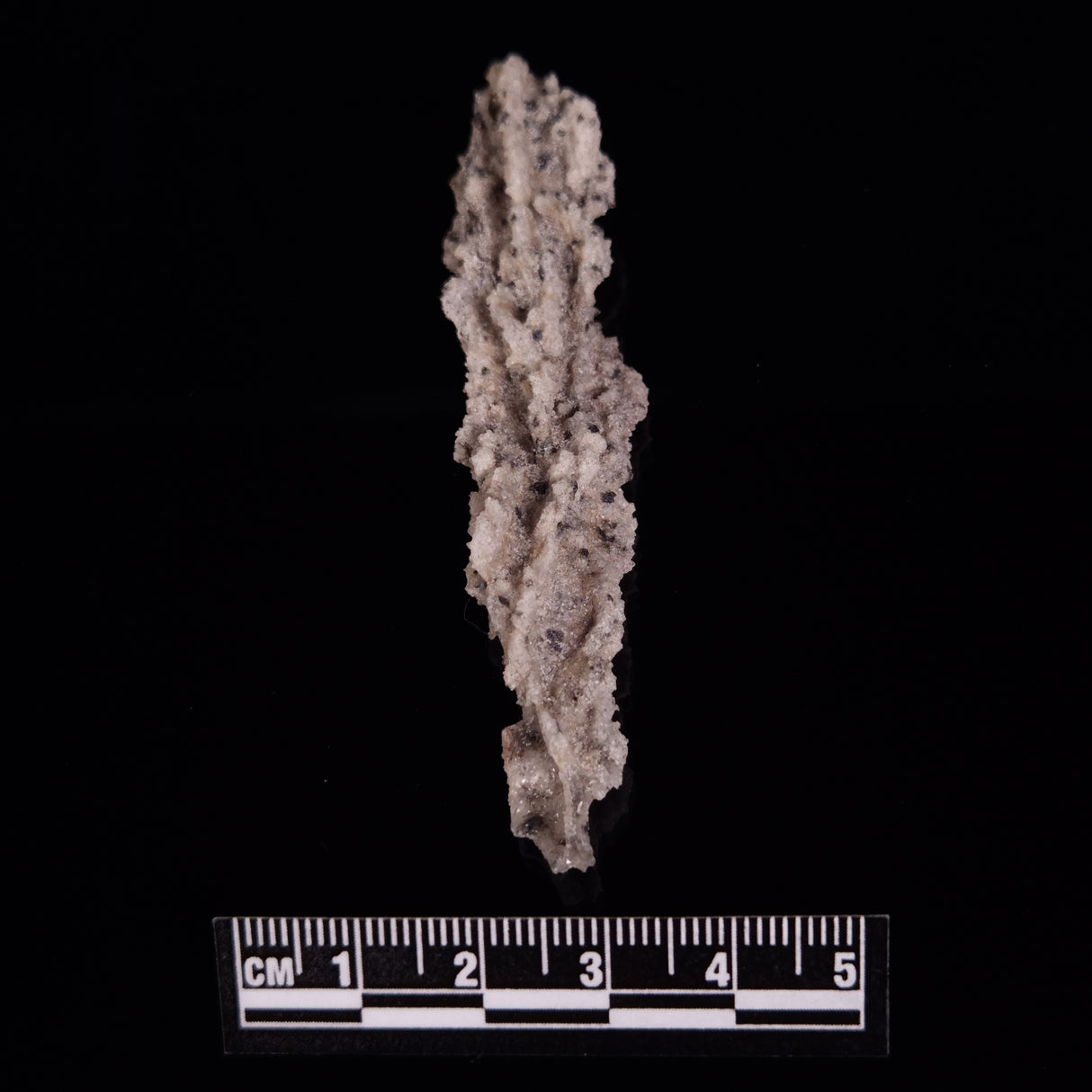FULGURITE LIGHTNING GLASS, Queensland, Australia XFA009