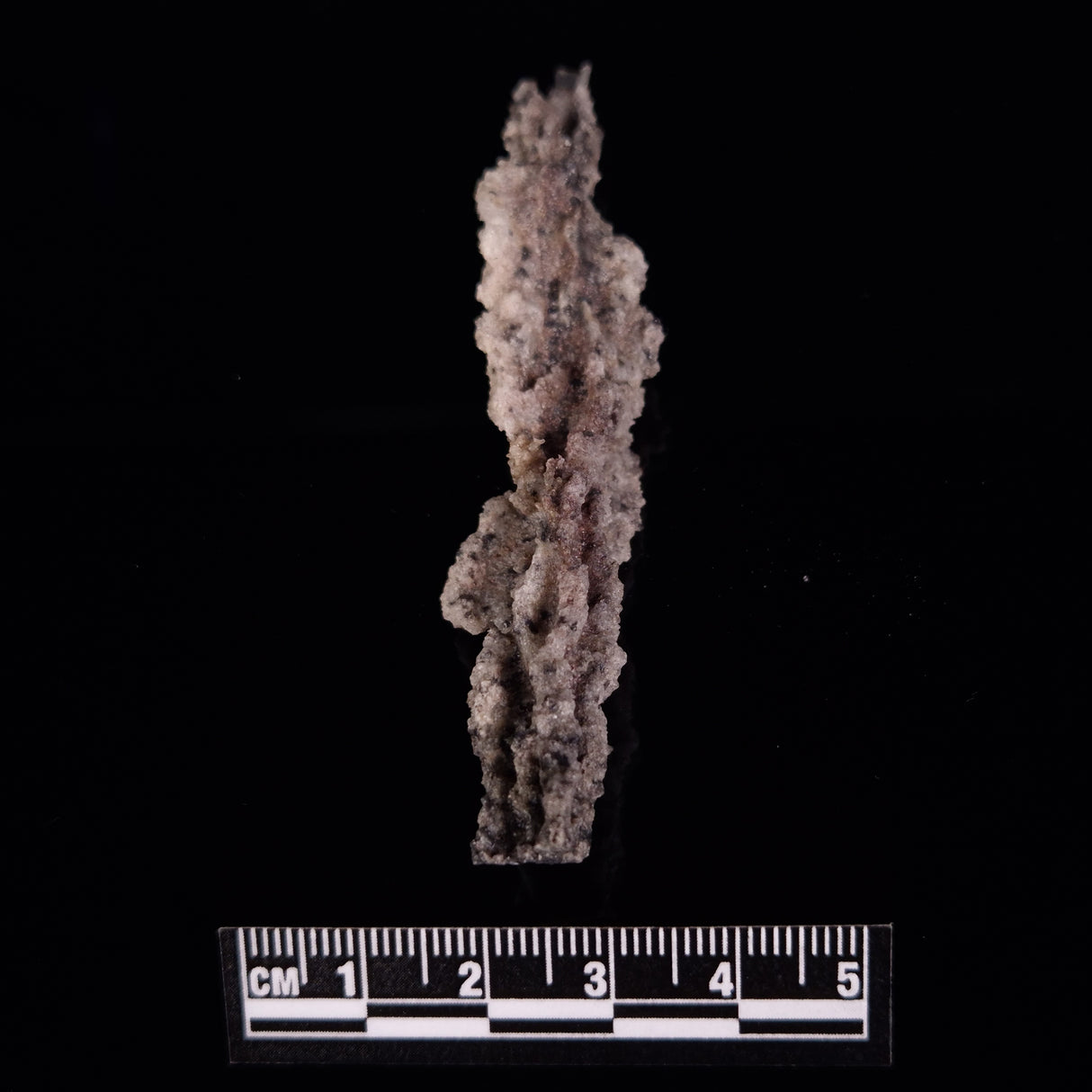 FULGURITE LIGHTNING GLASS, Queensland, Australia XFA010