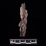 FULGURITE LIGHTNING GLASS, Queensland, Australia XFA010