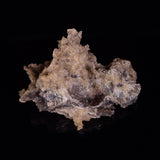 FULGURITE LIGHTNING GLASS, Queensland, Australia XFA011