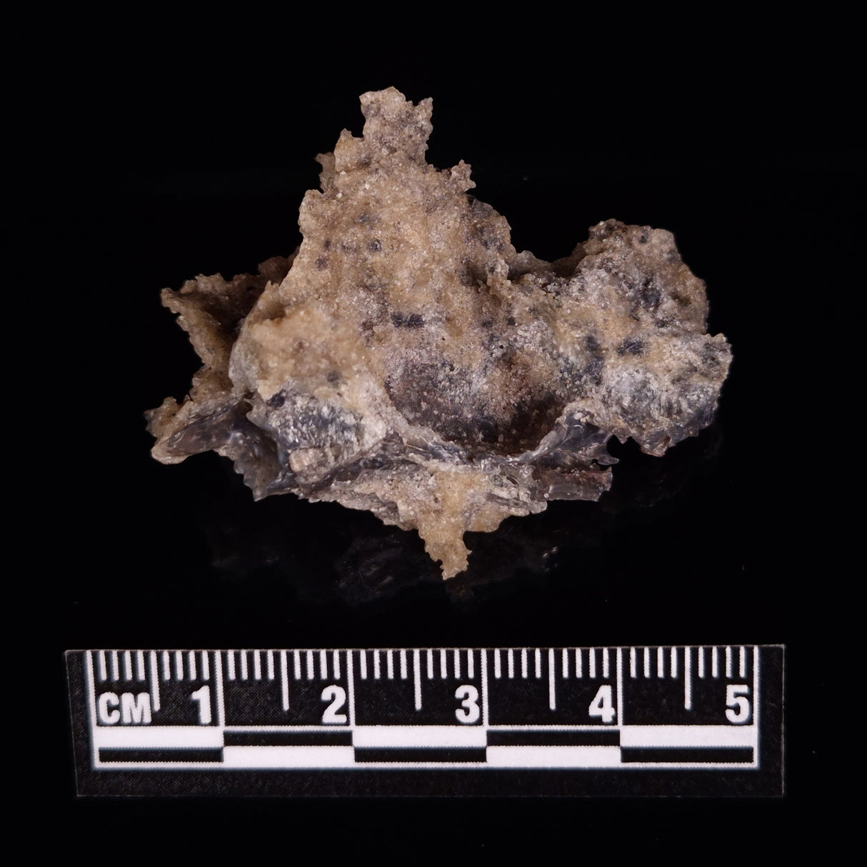 FULGURITE LIGHTNING GLASS, Queensland, Australia XFA011