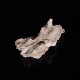 FULGURITE LIGHTNING GLASS, Queensland, Australia XFA012