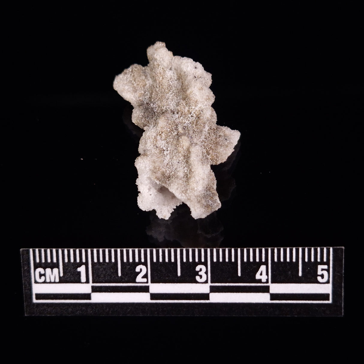 FULGURITE LIGHTNING GLASS, Queensland, Australia XFA012