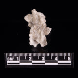 FULGURITE LIGHTNING GLASS, Queensland, Australia XFA012