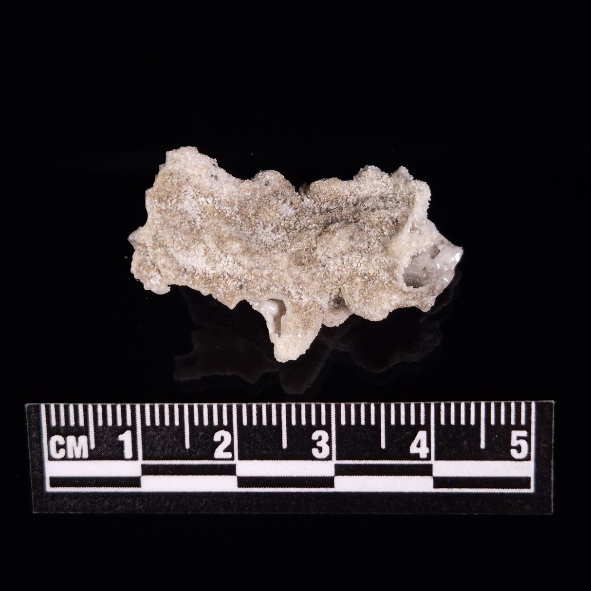 FULGURITE LIGHTNING GLASS, Queensland, Australia XFA012