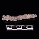 FULGURITE LIGHTNING GLASS, Queensland, Australia XFA013