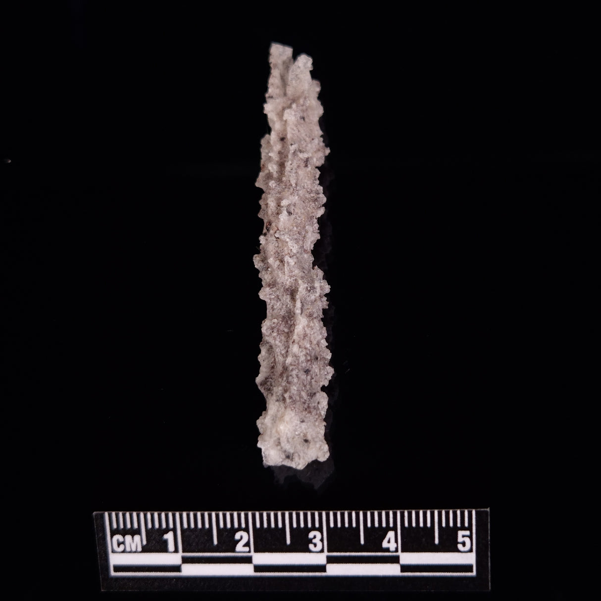 FULGURITE LIGHTNING GLASS, Queensland, Australia XFA014
