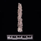 FULGURITE LIGHTNING GLASS, Queensland, Australia XFA014