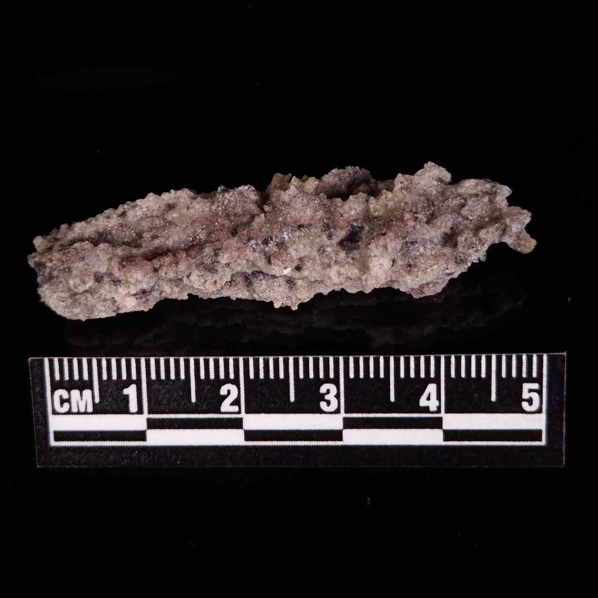 FULGURITE LIGHTNING GLASS, Queensland, Australia XFA015