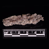 FULGURITE LIGHTNING GLASS, Queensland, Australia XFA015
