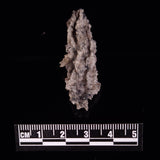 FULGURITE LIGHTNING GLASS, Queensland, Australia XFA015