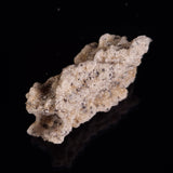 FULGURITE LIGHTNING GLASS, Queensland, Australia XFA016
