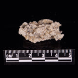 FULGURITE LIGHTNING GLASS, Queensland, Australia XFA016