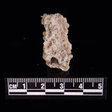 FULGURITE LIGHTNING GLASS, Queensland, Australia XFA016