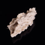 FULGURITE LIGHTNING GLASS, Queensland, Australia XFA017