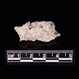 FULGURITE LIGHTNING GLASS, Queensland, Australia XFA017