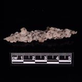FULGURITE LIGHTNING GLASS, Queensland, Australia XFA018