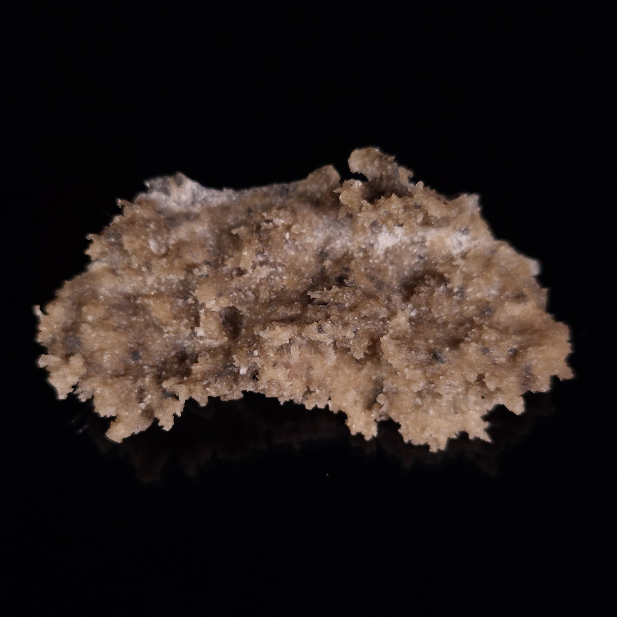 FULGURITE LIGHTNING GLASS, Queensland, Australia XFA019
