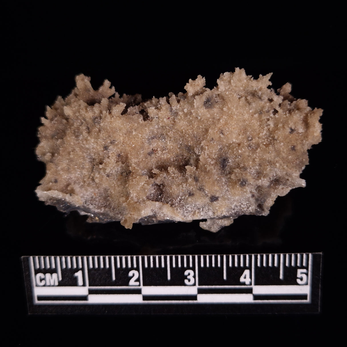 FULGURITE LIGHTNING GLASS, Queensland, Australia XFA019