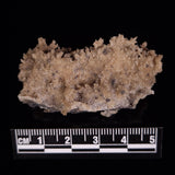 FULGURITE LIGHTNING GLASS, Queensland, Australia XFA019