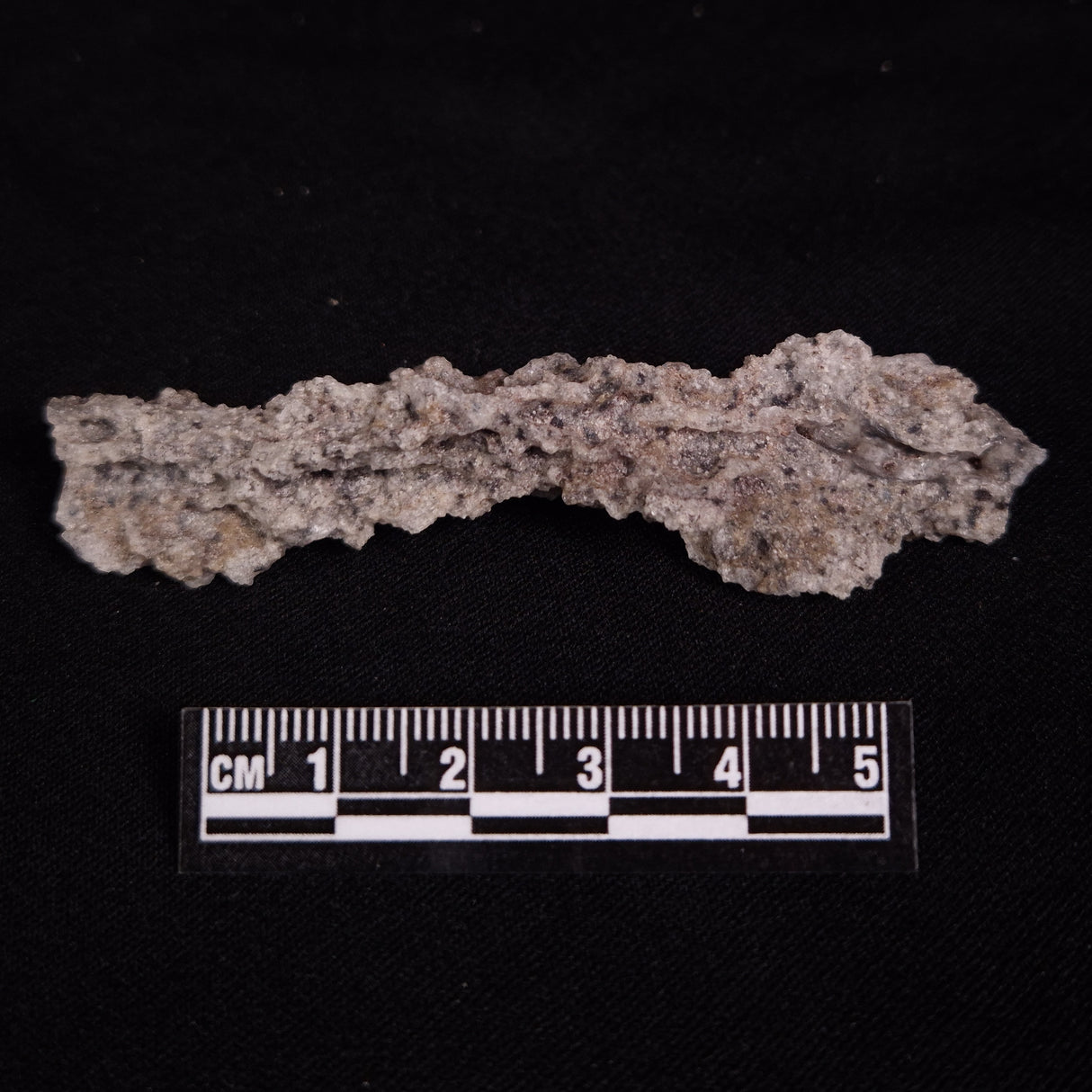 FULGURITE LIGHTNING GLASS, Queensland, Australia XFA020