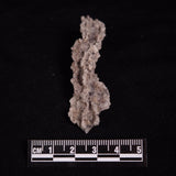 FULGURITE LIGHTNING GLASS, Queensland, Australia XFA020
