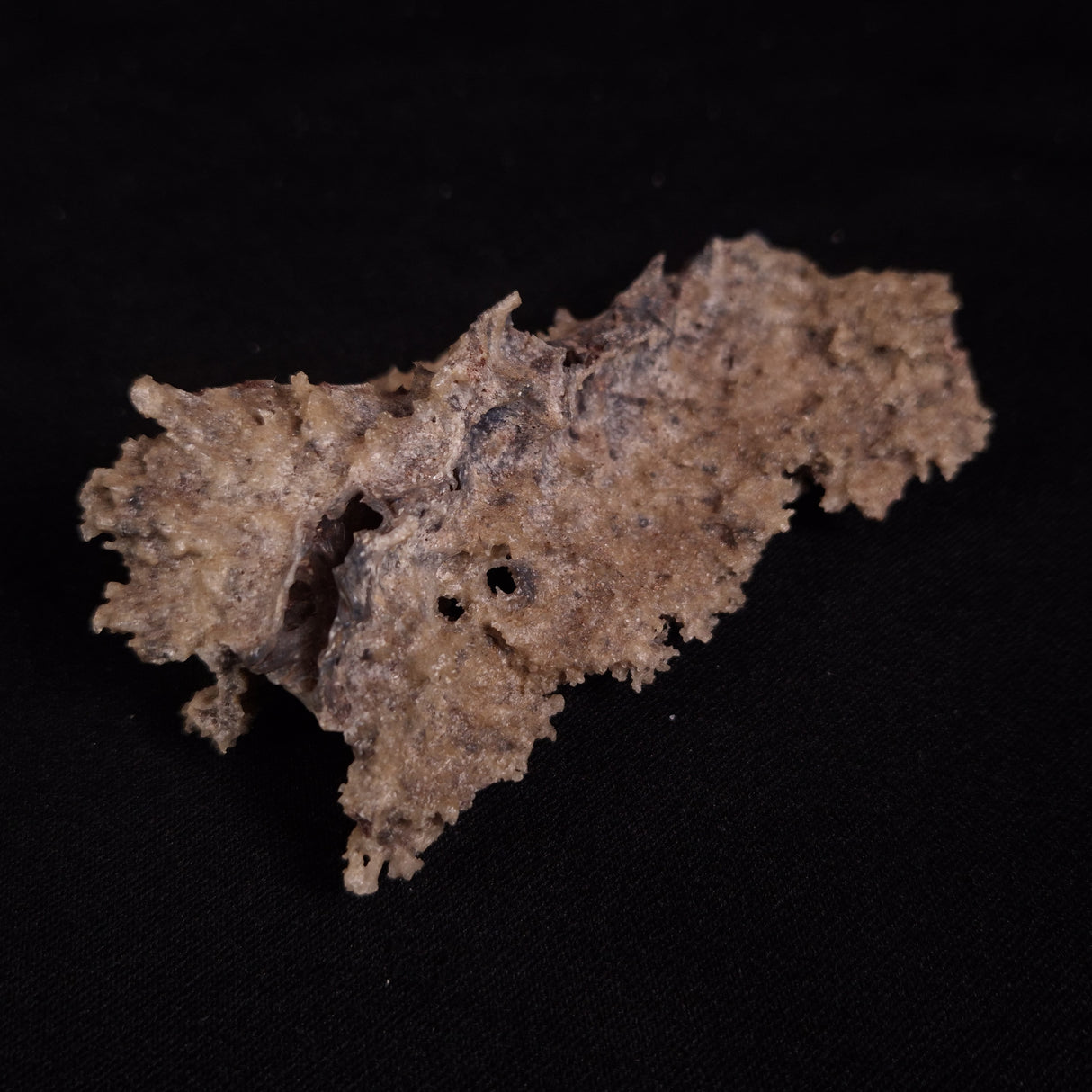 FULGURITE LIGHTNING GLASS, Queensland, Australia XFA021