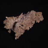 FULGURITE LIGHTNING GLASS, Queensland, Australia XFA021
