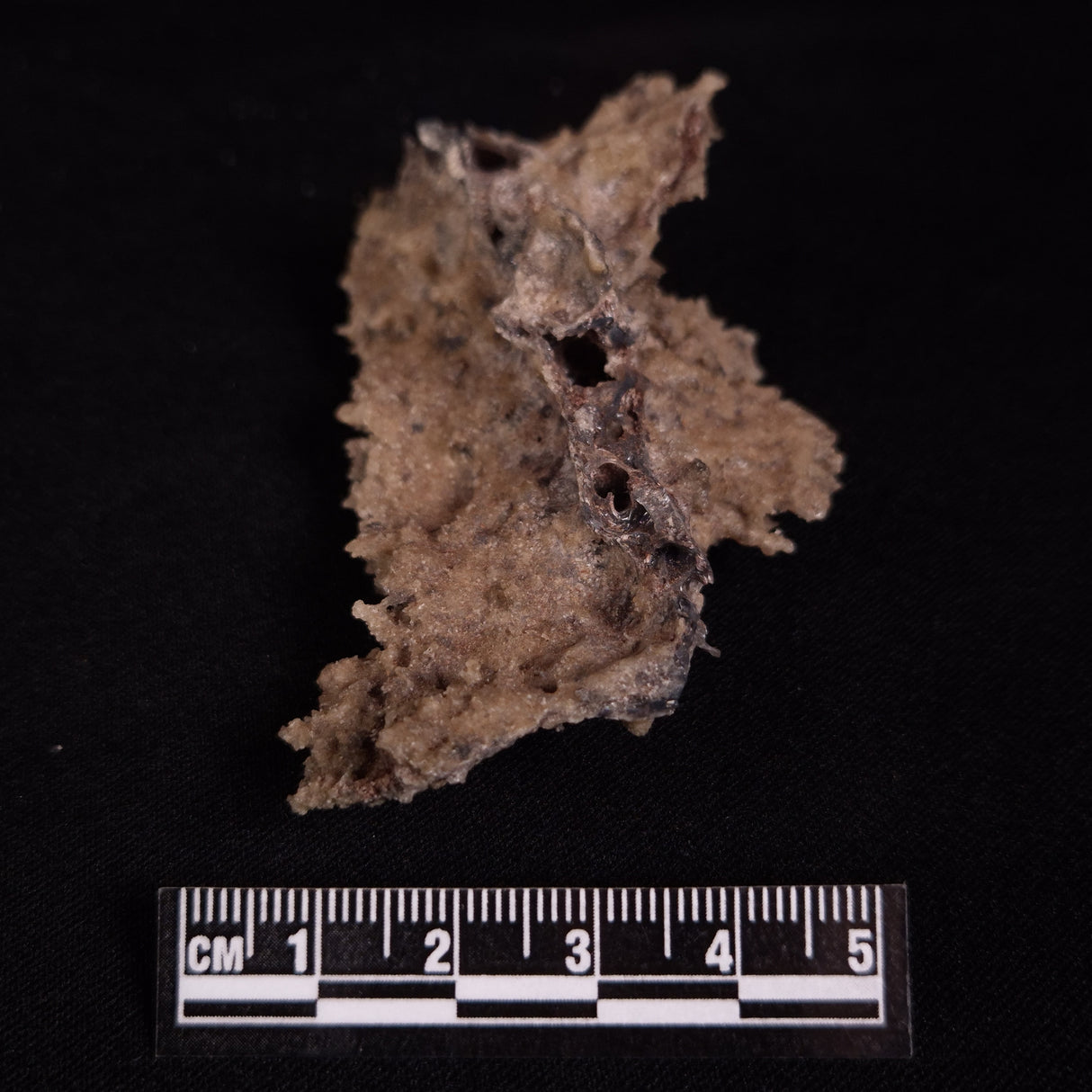 FULGURITE LIGHTNING GLASS, Queensland, Australia XFA021