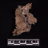FULGURITE LIGHTNING GLASS, Queensland, Australia XFA021