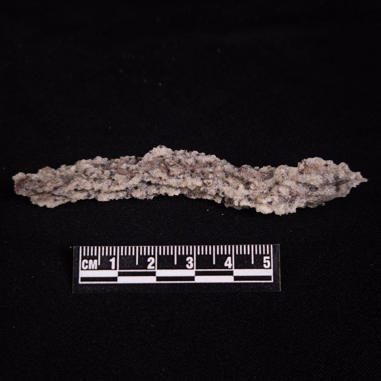 FULGURITE LIGHTNING GLASS, Queensland, Australia XFA022