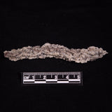 FULGURITE LIGHTNING GLASS, Queensland, Australia XFA022