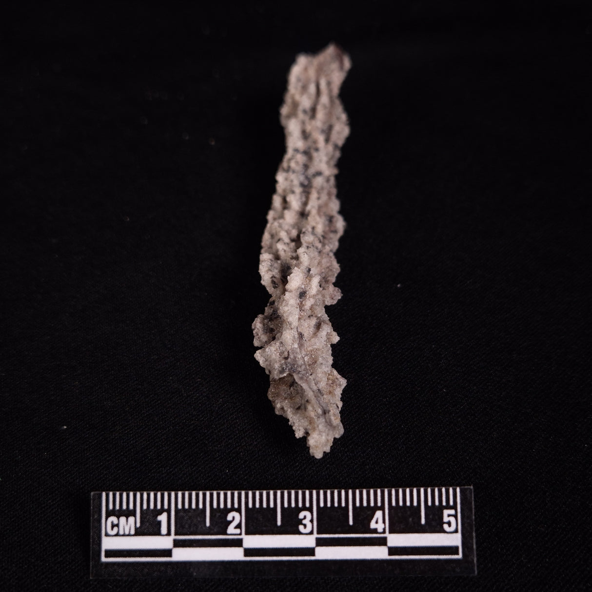 FULGURITE LIGHTNING GLASS, Queensland, Australia XFA022