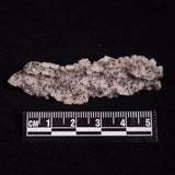 FULGURITE LIGHTNING GLASS, Queensland, Australia XFA023