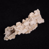 FULGURITE LIGHTNING GLASS, Queensland, Australia XFA024