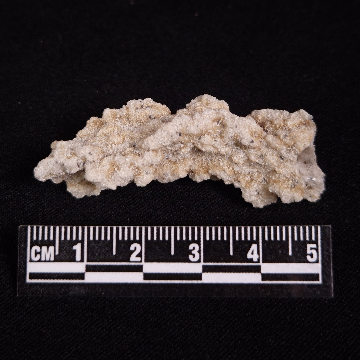 FULGURITE LIGHTNING GLASS, Queensland, Australia XFA024