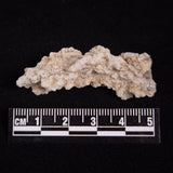 FULGURITE LIGHTNING GLASS, Queensland, Australia XFA024