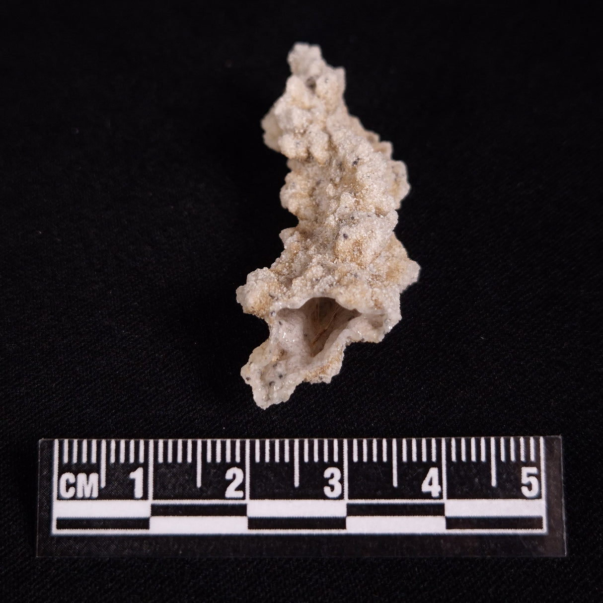 FULGURITE LIGHTNING GLASS, Queensland, Australia XFA024