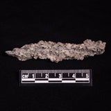 FULGURITE LIGHTNING GLASS, Queensland, Australia XFA025