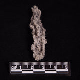 FULGURITE LIGHTNING GLASS, Queensland, Australia XFA025