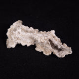 FULGURITE LIGHTNING GLASS, Queensland, Australia XFA026