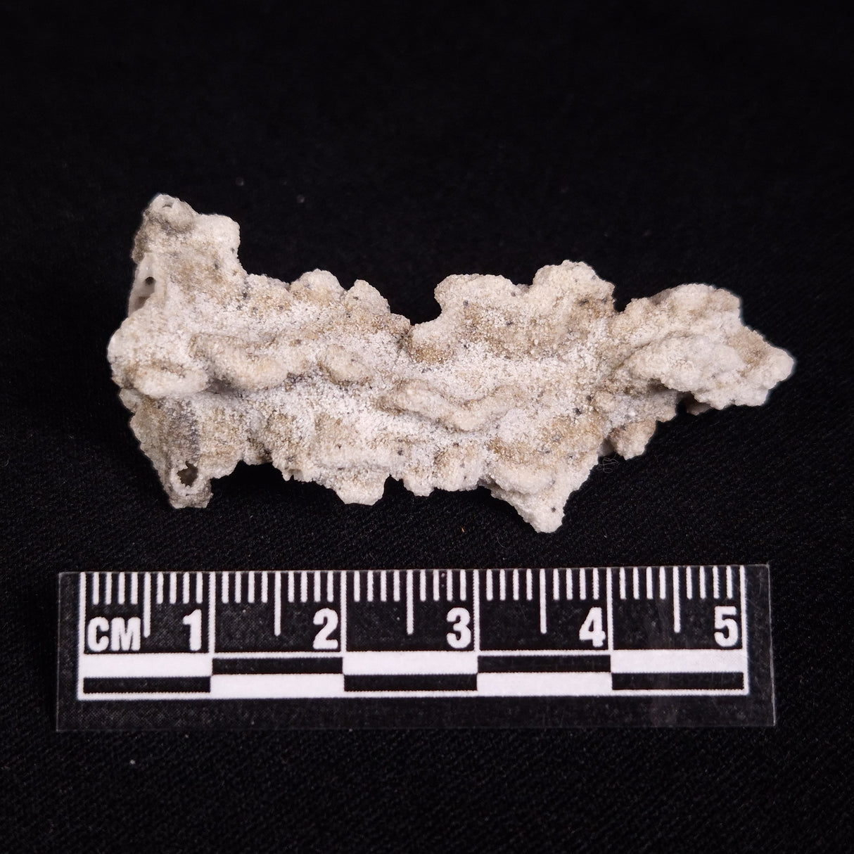 FULGURITE LIGHTNING GLASS, Queensland, Australia XFA026