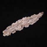 FULGURITE LIGHTNING GLASS, Queensland, Australia XFA027