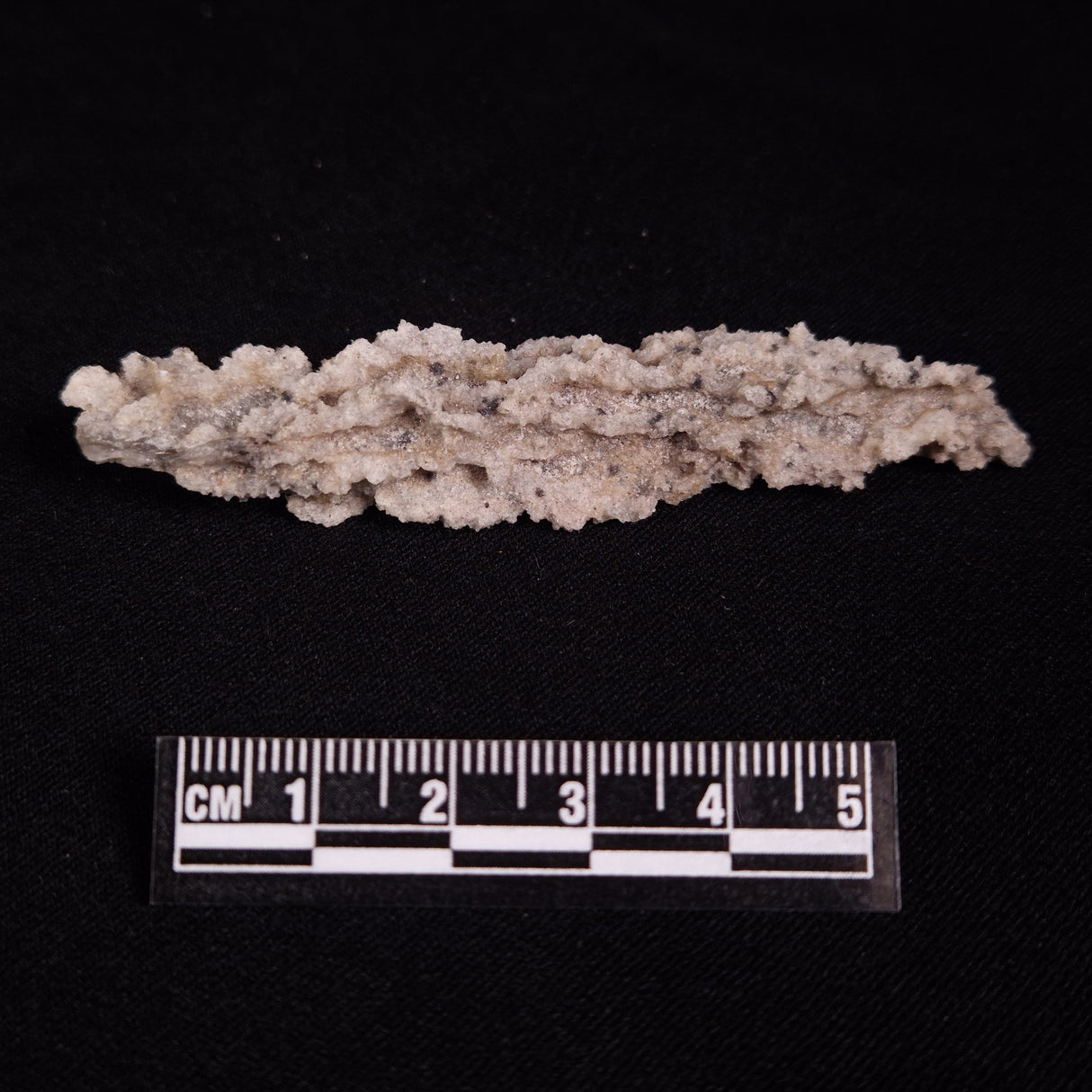 FULGURITE LIGHTNING GLASS, Queensland, Australia XFA027