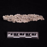 FULGURITE LIGHTNING GLASS, Queensland, Australia XFA027