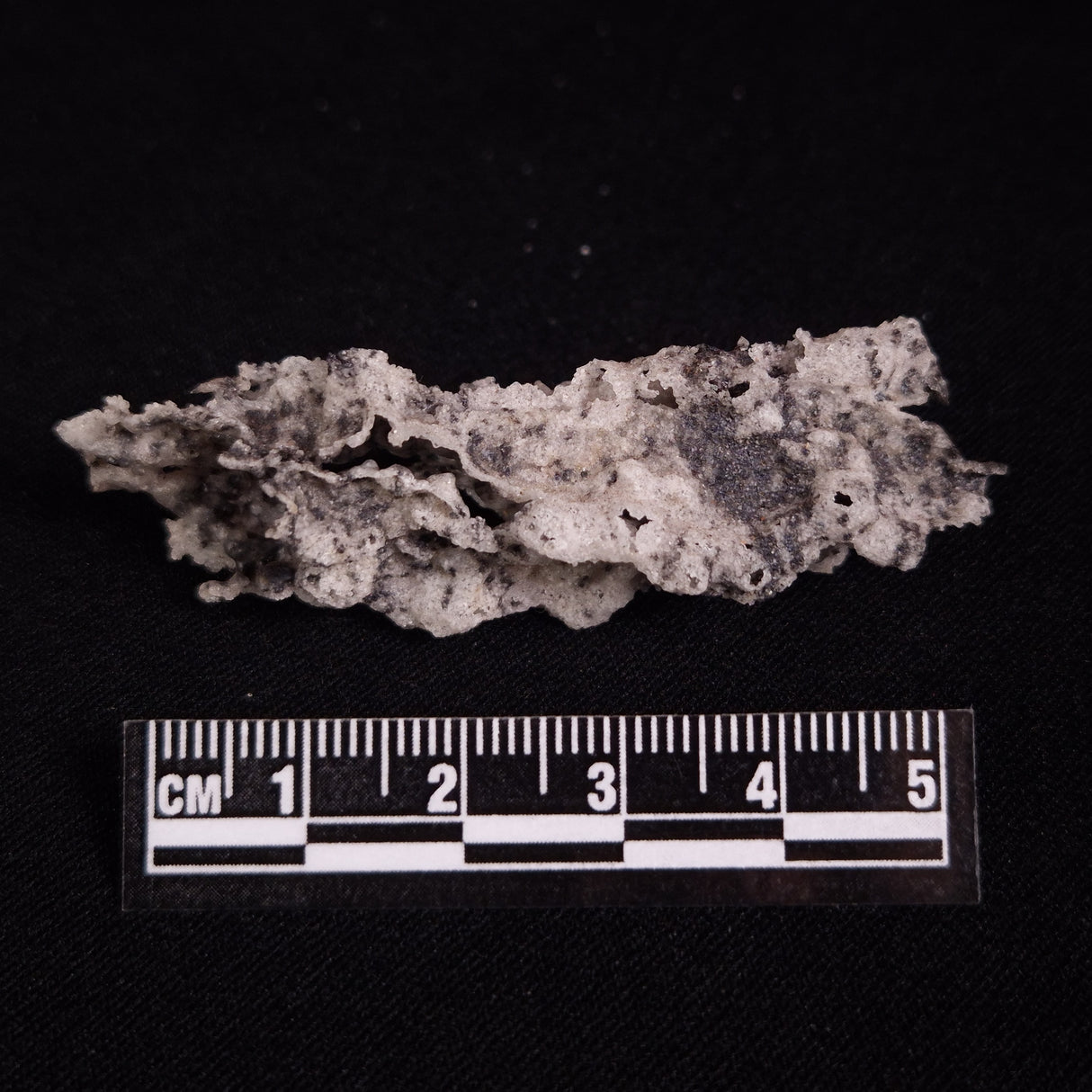 FULGURITE LIGHTNING GLASS, Queensland, Australia XFA028