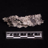 FULGURITE LIGHTNING GLASS, Queensland, Australia XFA028